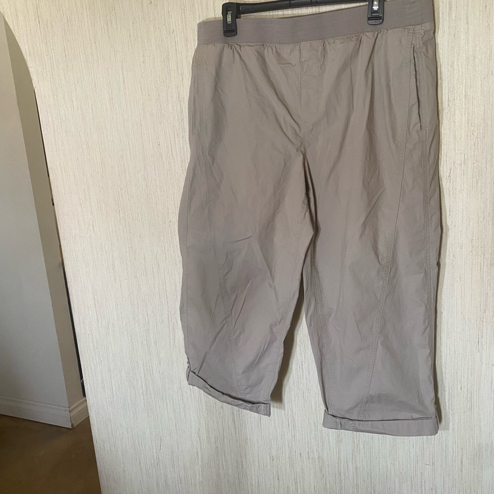 Chico's Taupe Regular Fit Pants